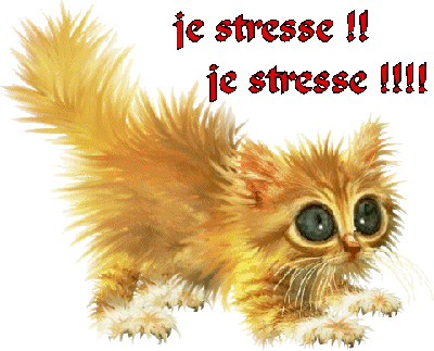Comment reconnaître le stress chez le chat